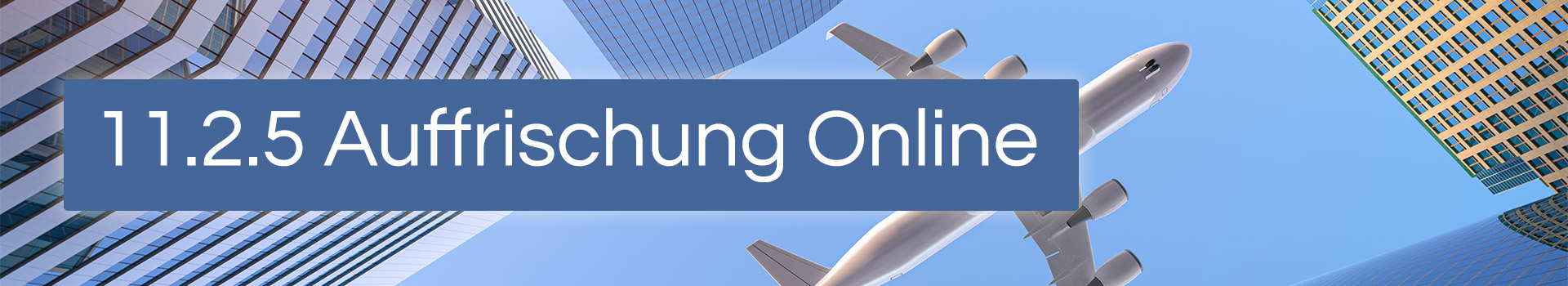 11.2.5-auffrischung-online